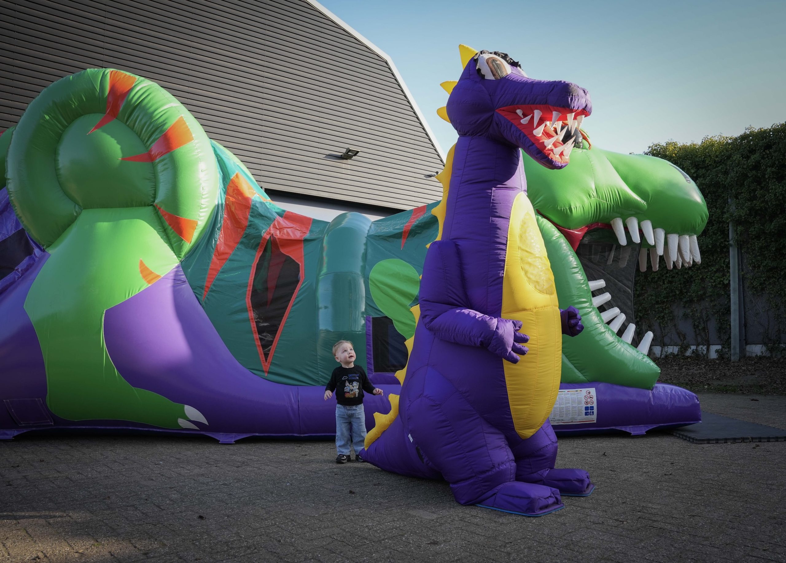 Dino stormbaan - Afbeelding 9